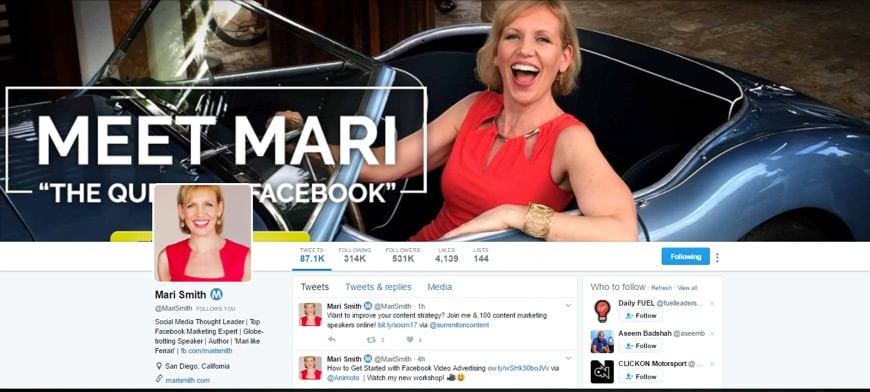 Mari Smith branding